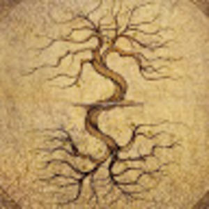 Meet your Posher, Millie